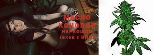 прущие грибы Абинск