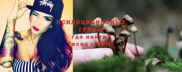 прущие грибы Абинск