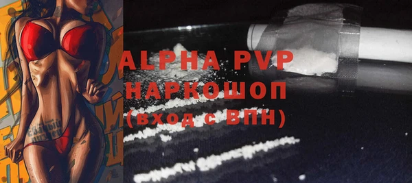 прущие грибы Абинск